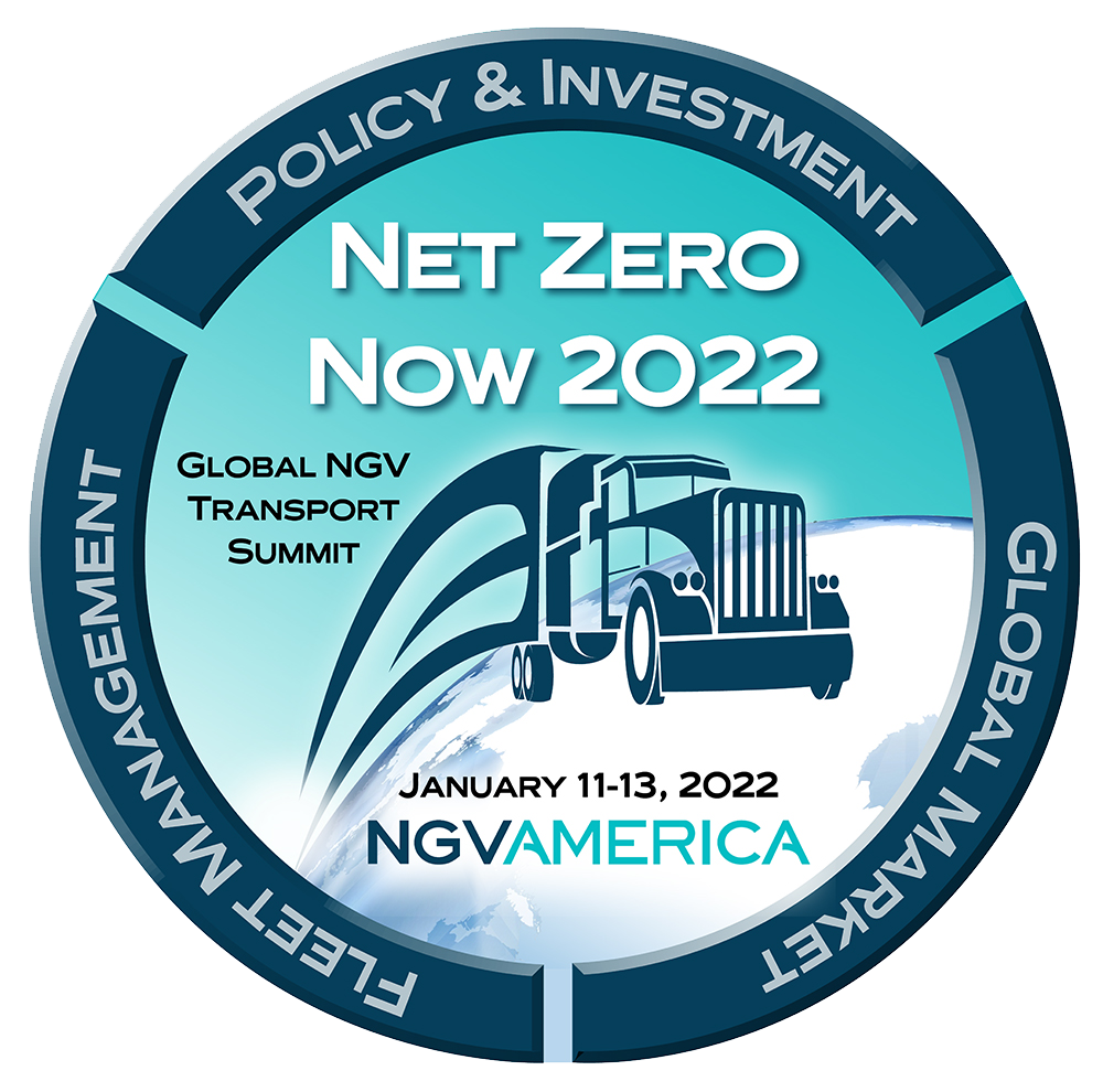 Net-Zero-Now-Logo-Concept